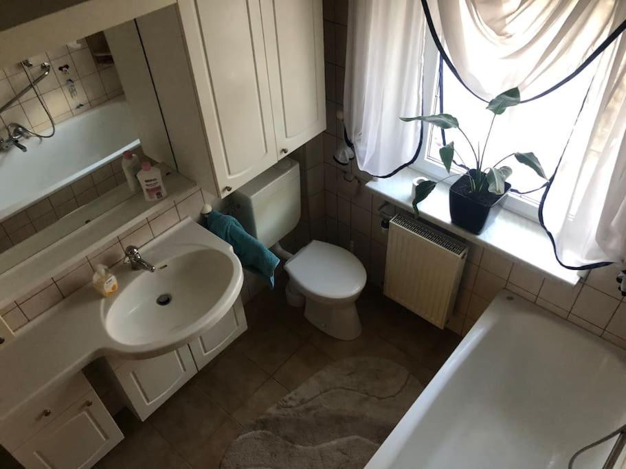 Ferienwohnung In Golssen/Spreewald, Tropical Island Экстерьер фото